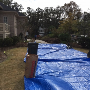 Photo of New Leaf Landscape Management