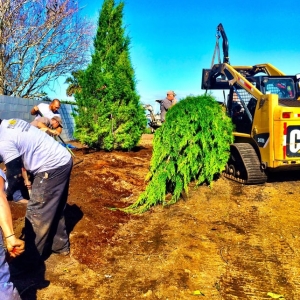 Photo of Horizon Landscaping of Jacksonville