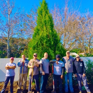 Jacksonville Horizon Landscaping of Jacksonville
