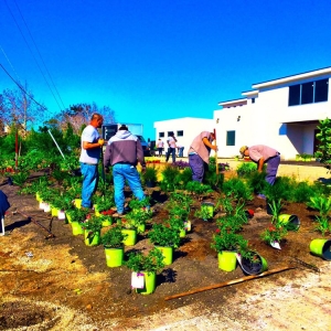 Photo of Horizon Landscaping of Jacksonville