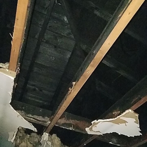 Photo of RS1 Water & Fire Damage Restoration