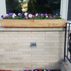 Photo of Quality Fencing