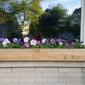 Photo of Quality Fencing