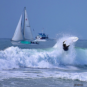 Photo of Del Mar Blue Print