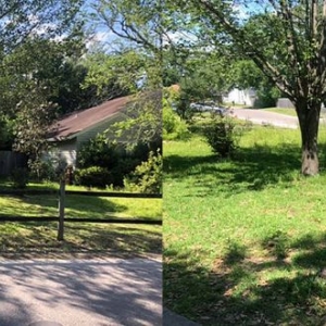 Photo of Impact Landscaping