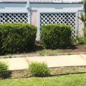 Photo of Impact Landscaping