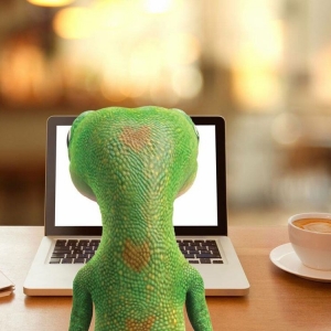 Photo of Megan Donoho - GEICO Insurance Agent