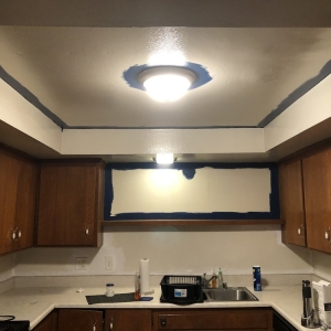 Photo of Intrinsic Home Painting Services