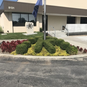 Photo of Shelton & Son Lawn & Tree Company