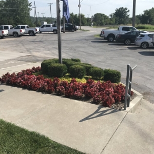 Photo of Shelton & Son Lawn & Tree Company