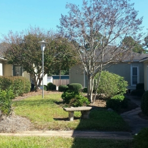 Photo of Absolute Insurance Agency