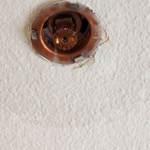 Photo of BAT Fire Protection Systems
