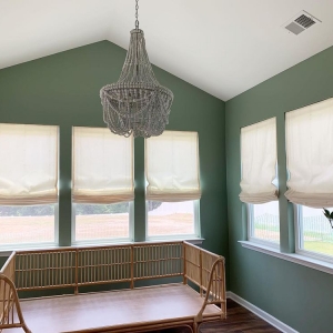 Photo of Made In The Shade Blinds & More