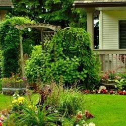 Photo of Brian's Landscaping & Grass Cutting & Snow Removal