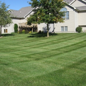 Photo of A Plus Lawn & Landscape