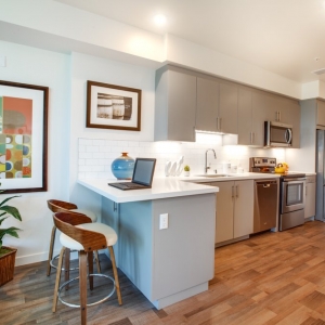 Los Angeles Lion Real Estate Group
