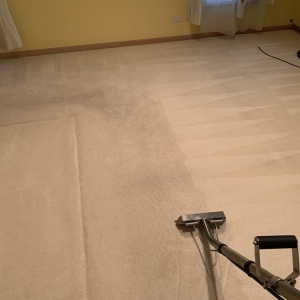Photo of My Carpet Cleaning