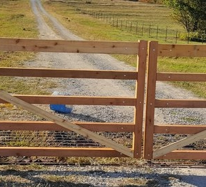 Photo of Massey Fence