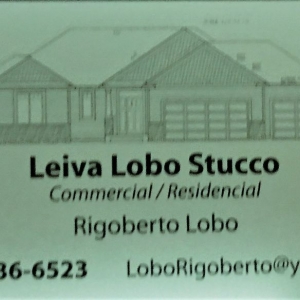 Austin Leiva Lobo Stucco LLC