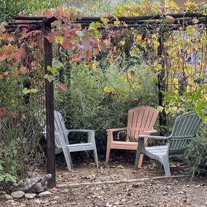 Photo of GardenWise Design