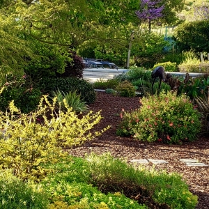 Photo of GardenWise Design