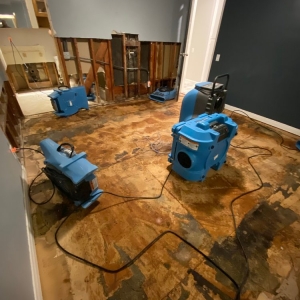 Calabasas Mega Restoration Services