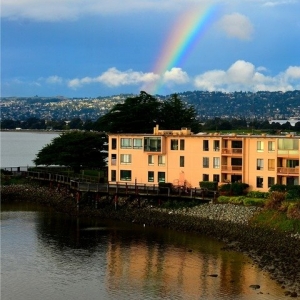 Photo of All East Bay Properties