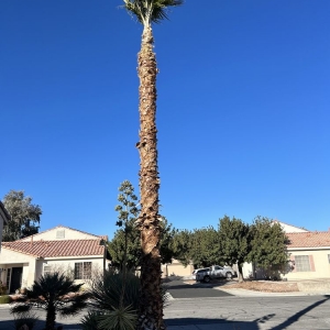 Photo of Las Vegas Hardscape&Design
