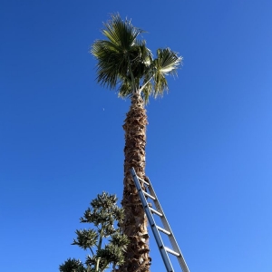 Photo of Las Vegas Hardscape&Design