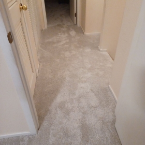 Photo of Carpets N More