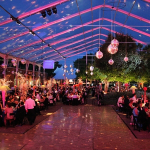 Photo of Stellar Productions