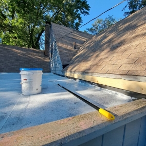Photo of Pro Roofer