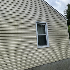 Photo of No Pressure Pressure Washing
