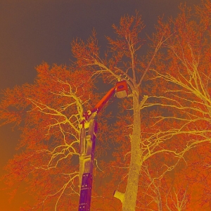 Photo of Ground Pounders Landscape & Stump Removal