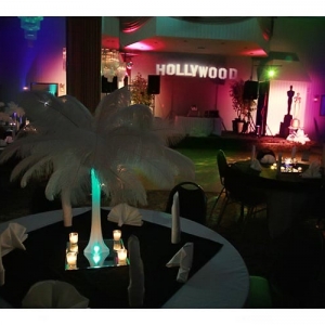 Photo of Sharp Event Design and Lighting