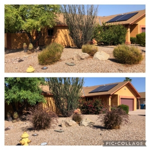 Photo of Rockwell Landscape Maintenance