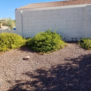 Photo of Rockwell Landscape Maintenance