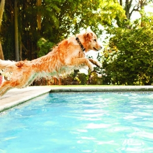 Photo of A-Quality Pools