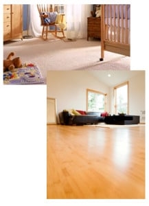 Spring Valley Anna's House Cleaning