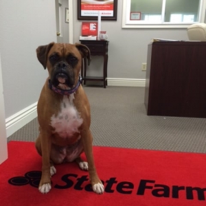 Photo of Nathan Mahlik - State Farm Insurance Agent