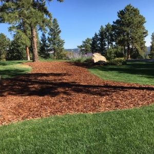 Photo of JR's Landscaping & Property Maintenance