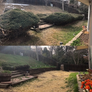 Photo of JR's Landscaping & Property Maintenance