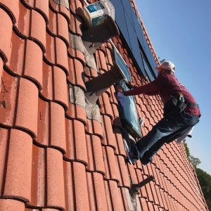 Photo of Just Windows