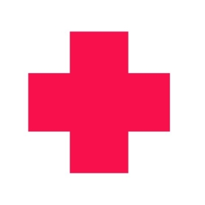 Photo of Texas Website Rescue