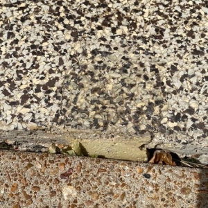 Photo of Patriot Sunrooms and Concrete Coating