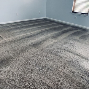 Photo of Safe-Dry Carpet Cleaning of Collierville