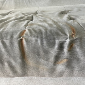 Photo of Safe-Dry Carpet Cleaning of Collierville