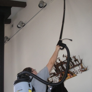 Photo of VIP Maid Services