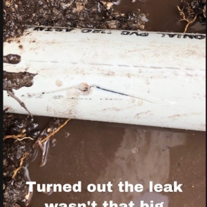 Photo of Dr. Pool Leaks