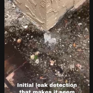 Photo of Dr. Pool Leaks